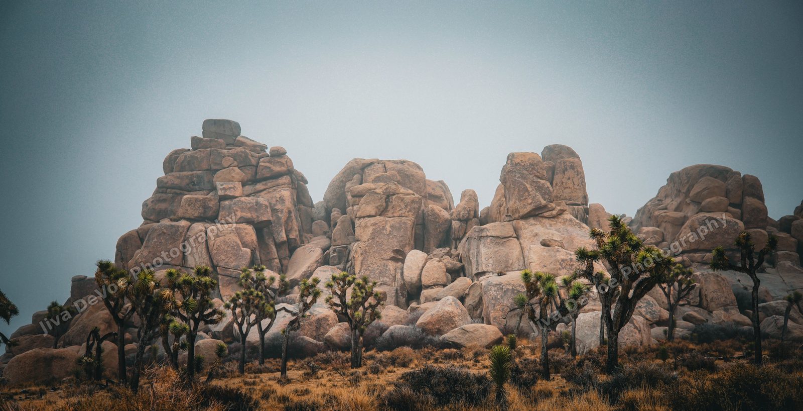 Boulders - Joshua Tree