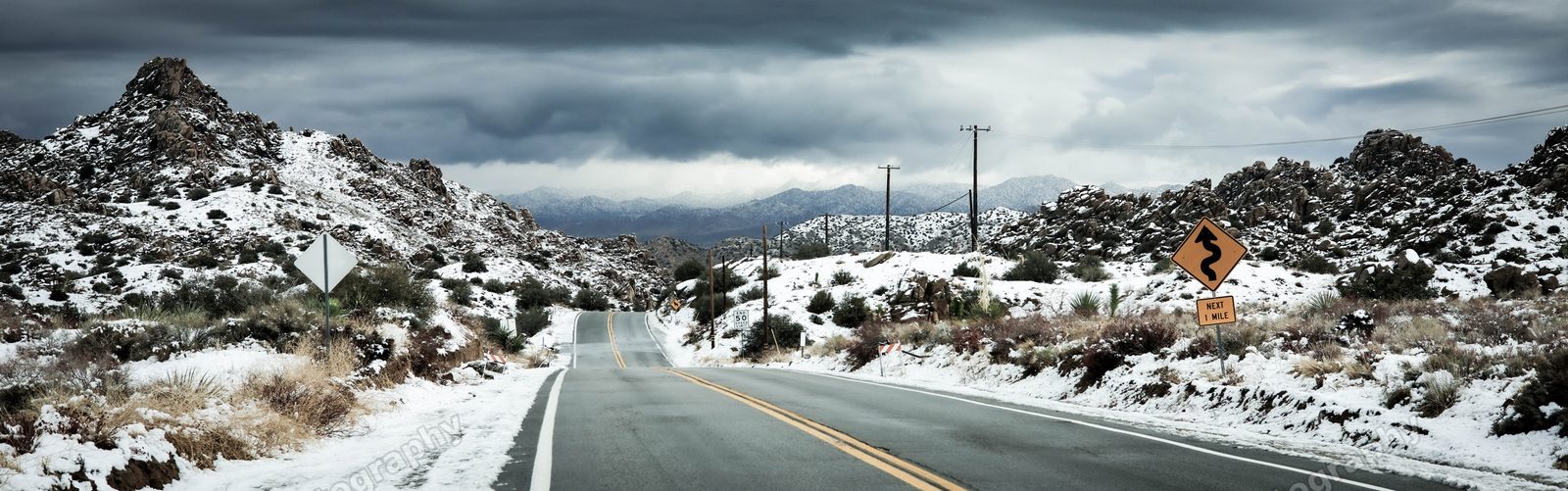 Slippery Roads - Joshua Tree