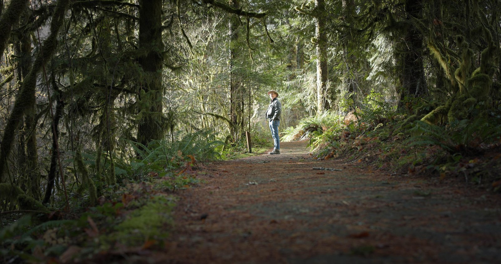 Jiva walking a forest trail in soft light